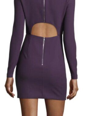 Elizabeth and James Plum Purple Cut-Out Back Mini Dress | Size 4 | Cocktail